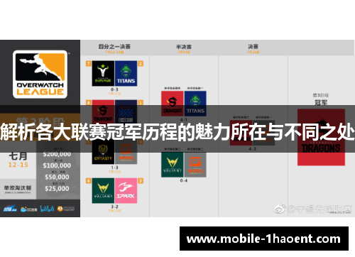 解析各大联赛冠军历程的魅力所在与不同之处