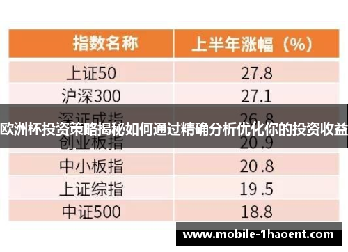 欧洲杯投资策略揭秘如何通过精确分析优化你的投资收益