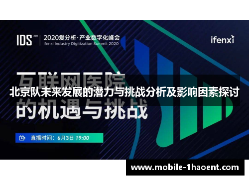 北京队未来发展的潜力与挑战分析及影响因素探讨