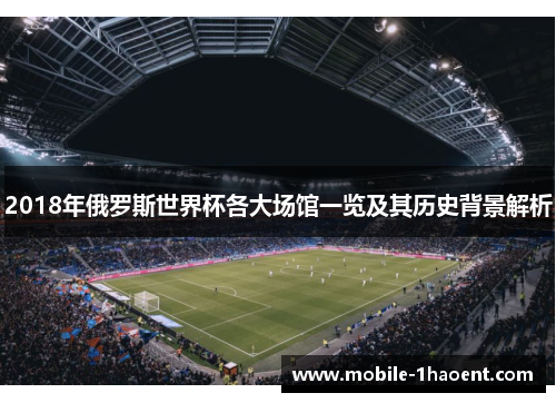 2018年俄罗斯世界杯各大场馆一览及其历史背景解析