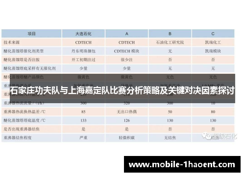 石家庄功夫队与上海嘉定队比赛分析策略及关键对决因素探讨