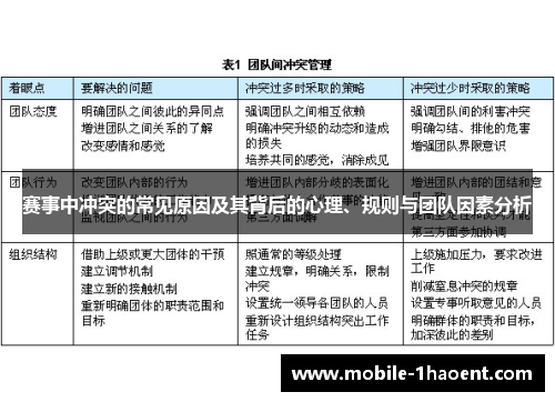 赛事中冲突的常见原因及其背后的心理、规则与团队因素分析