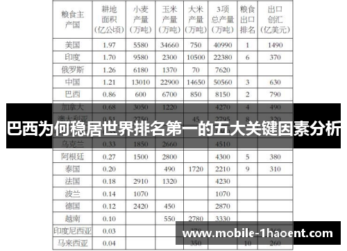 巴西为何稳居世界排名第一的五大关键因素分析