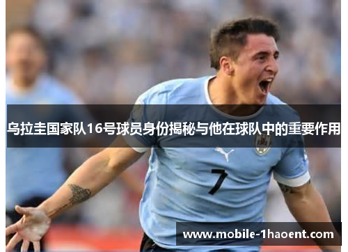 乌拉圭国家队16号球员身份揭秘与他在球队中的重要作用