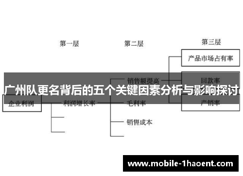 广州队更名背后的五个关键因素分析与影响探讨 广州队更名背后的五个关键因素分析与影响探讨