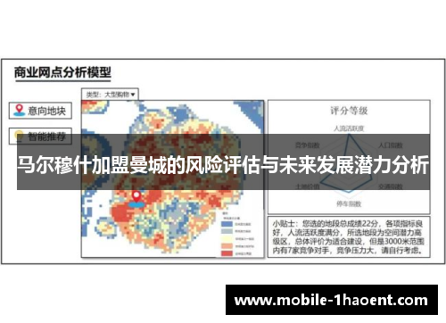 马尔穆什加盟曼城的风险评估与未来发展潜力分析