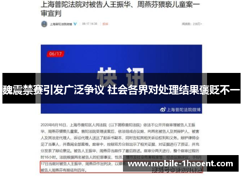 魏震禁赛引发广泛争议 社会各界对处理结果褒贬不一