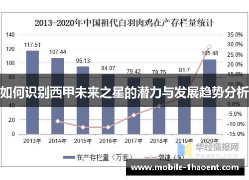 如何识别西甲未来之星的潜力与发展趋势分析