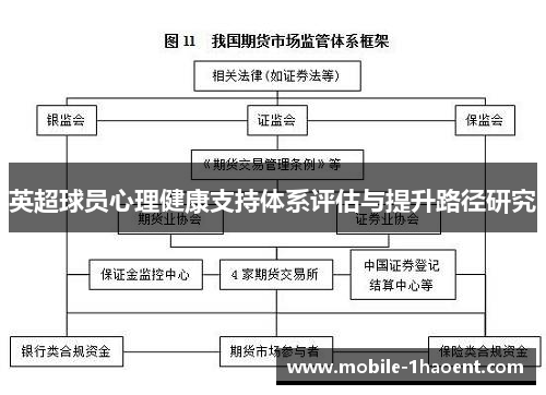 英超球员心理健康支持体系评估与提升路径研究