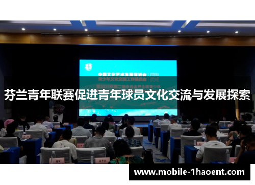 芬兰青年联赛促进青年球员文化交流与发展探索 芬兰青年联赛促进青年球员文化交流与发展探索