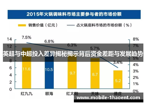 英超与中超投入差异揭秘揭示背后资金差距与发展趋势