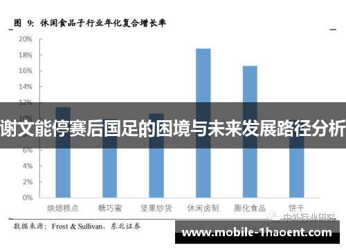 谢文能停赛后国足的困境与未来发展路径分析