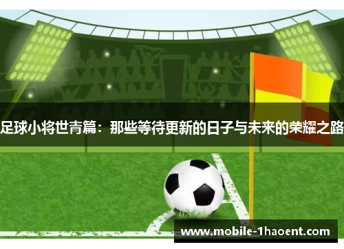 足球小将世青篇：那些等待更新的日子与未来的荣耀之路